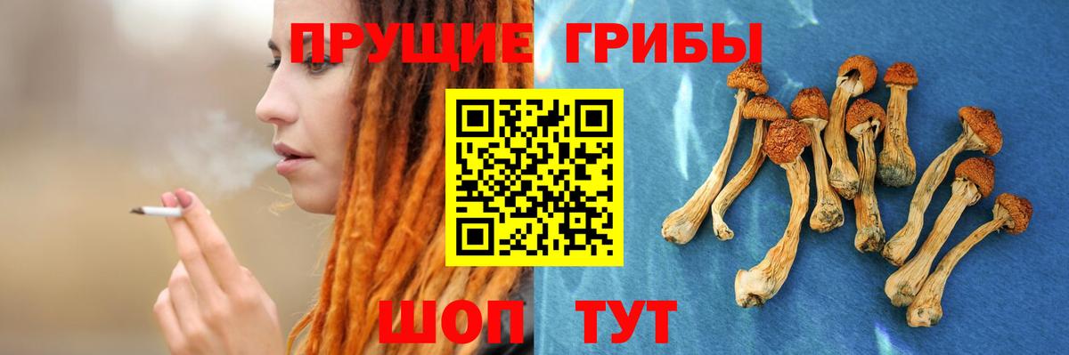 Галлюциногенные грибы Psilocybine cubensis  Вход с VPN  Жигулёвск 